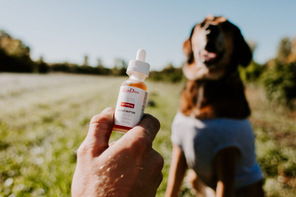 PET CBD Oil 500 mg Full-Spectrum - Image 2