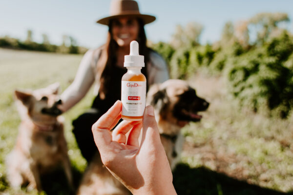 PET CBD Oil 500 mg Full-Spectrum