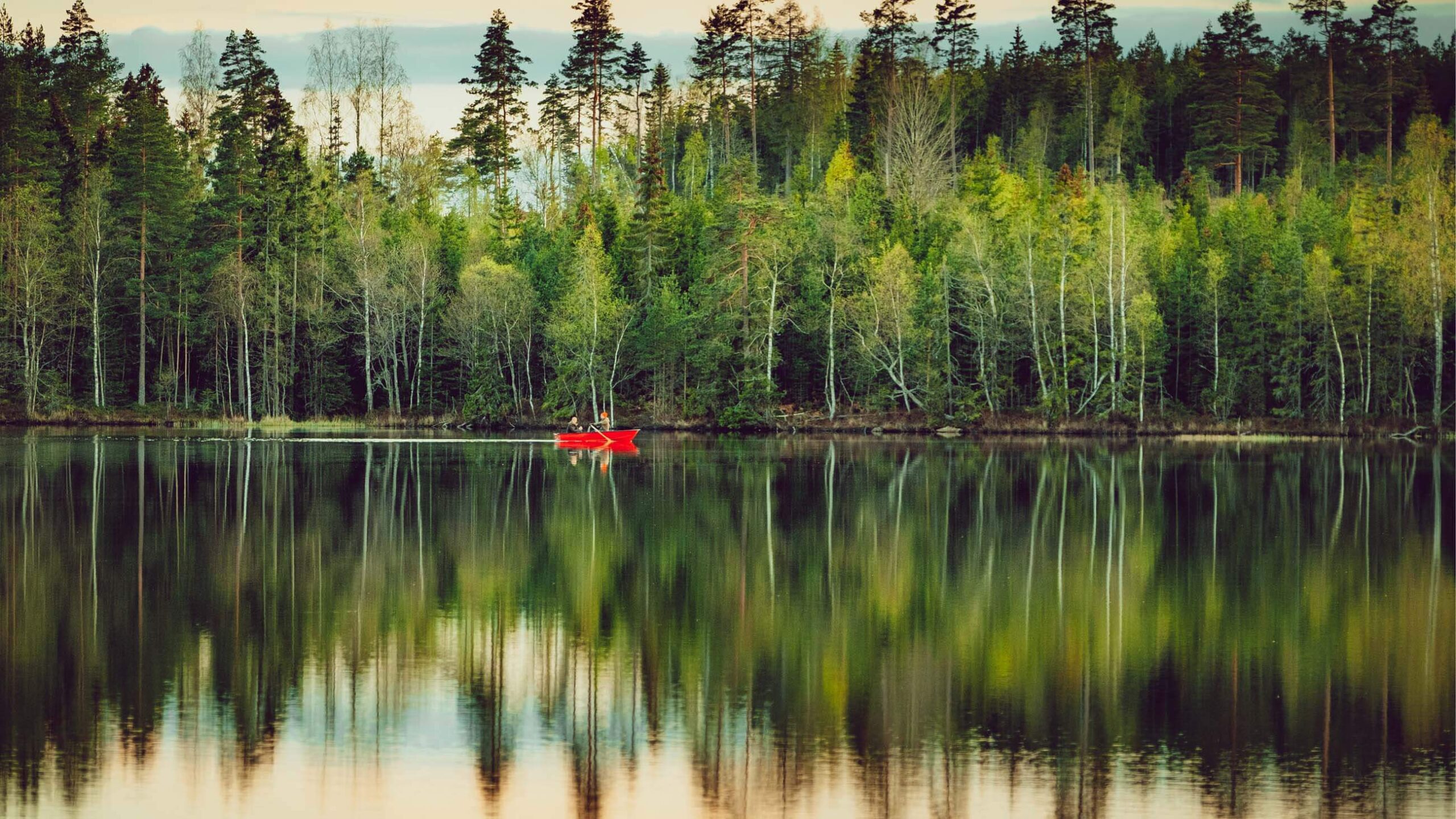 Two people paddling a red boat over a reflective lake in the woods