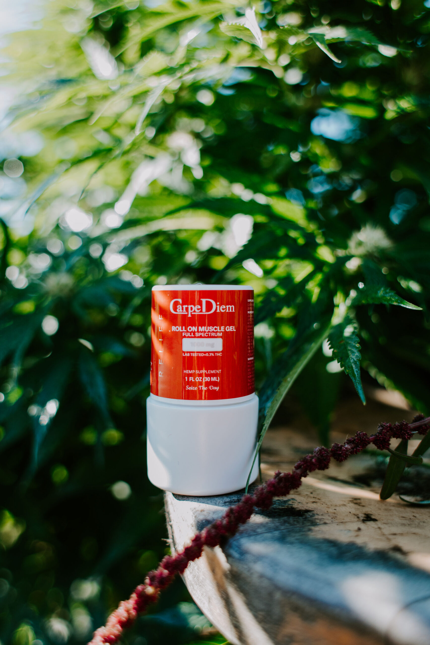 Relief Muscle & Joint CBD Gel Roll-On 1000 mg Full-Spectrum - Image 4