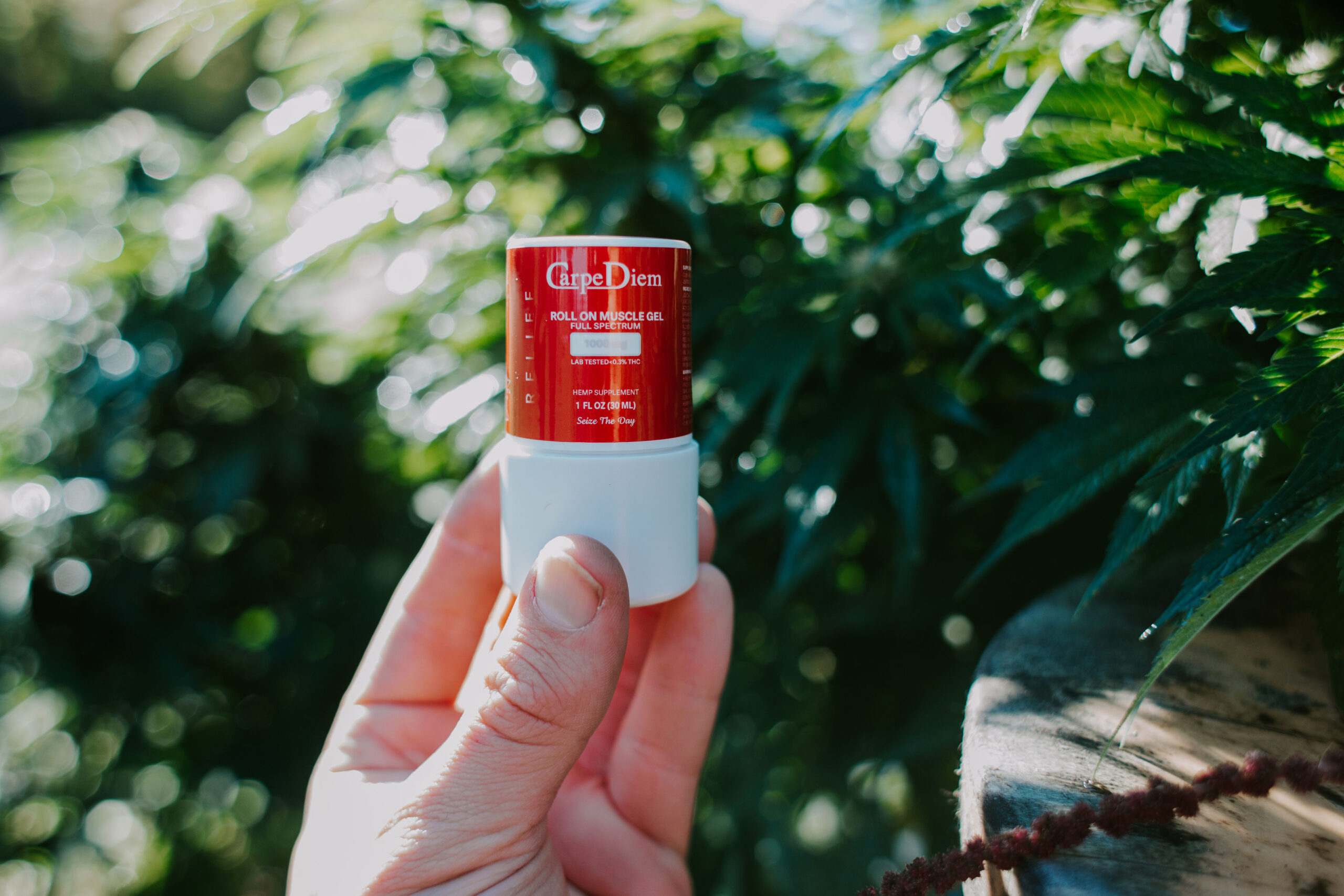 Relief Muscle & Joint CBD Gel Roll-On 1000 mg Full-Spectrum - Image 3