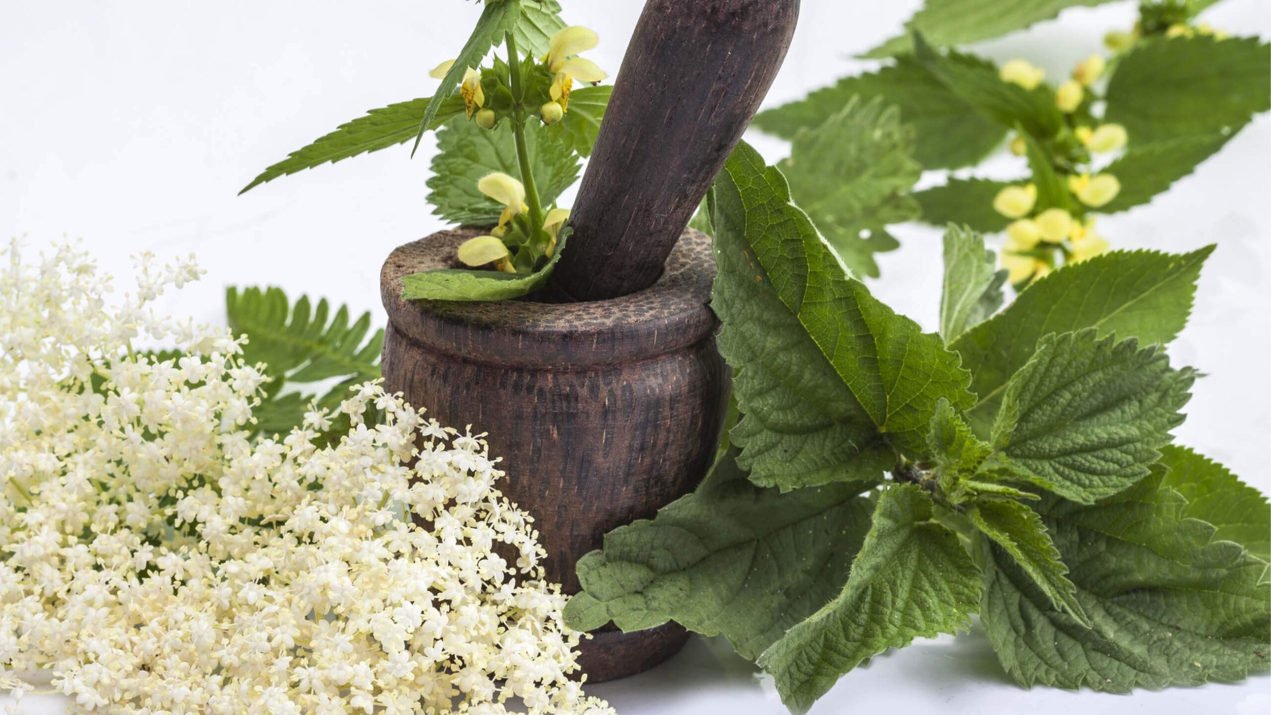 herbs laying around a wood mortar and pestle