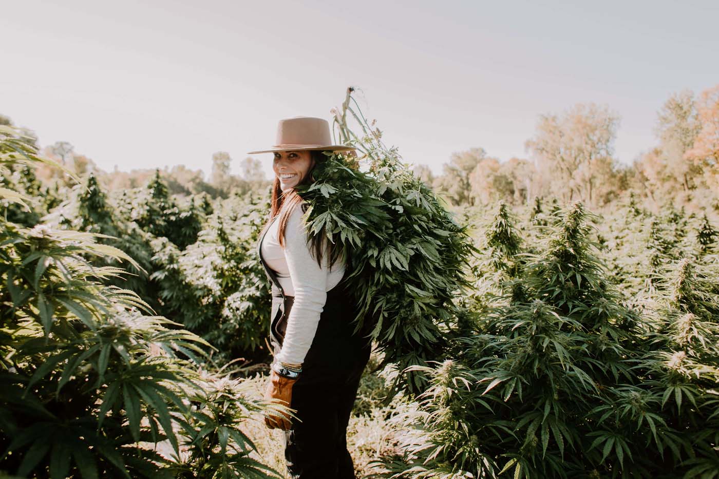 woman in hat carrying hemp plants over her shoulder