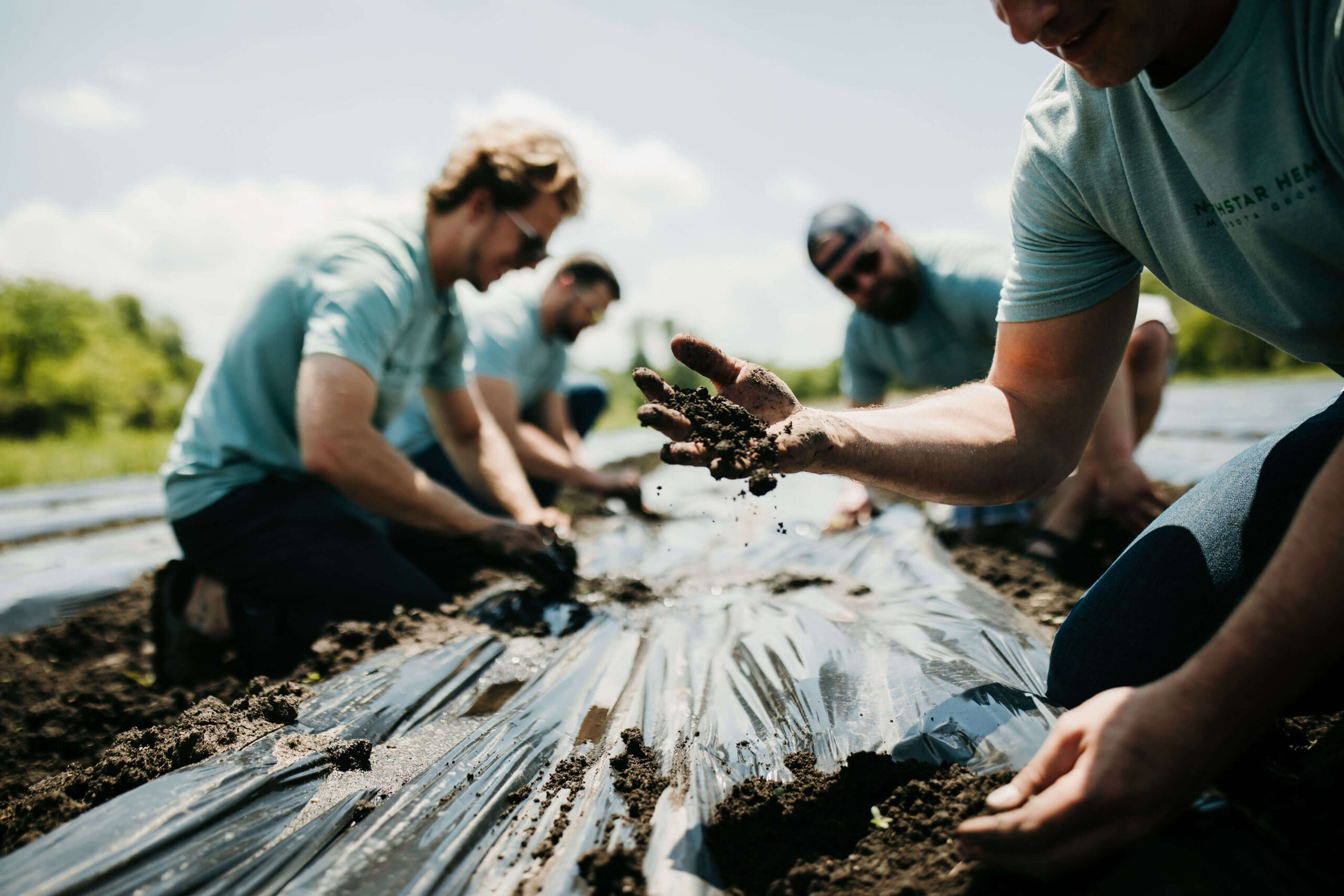 Carpe Diem team planting seedlings